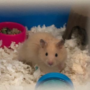 Meet your Posher, Leidy